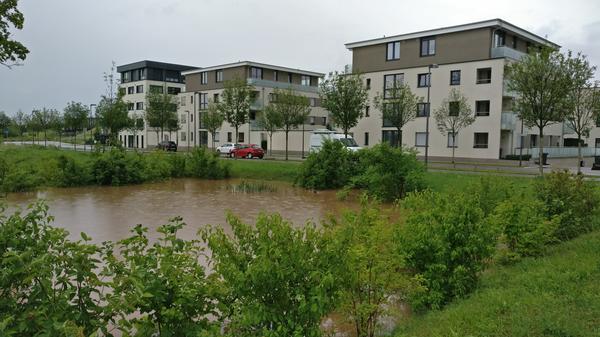 Bild vergr��ern: Regenr�ckhaltebecken (RHB) an der Cornichonstra�e in Landau/Pfalz