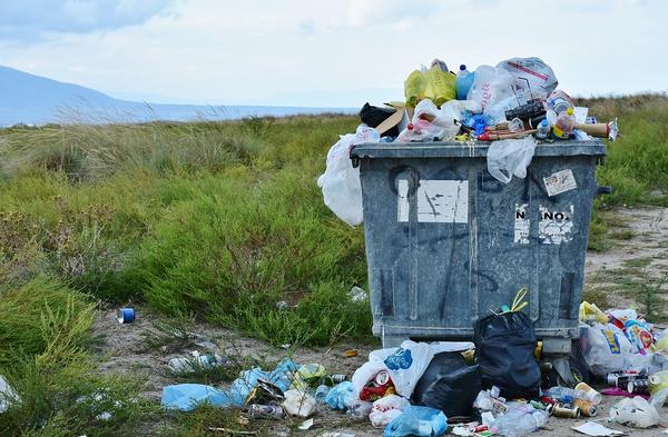 Bild vergr��ern: Plastikm�ll