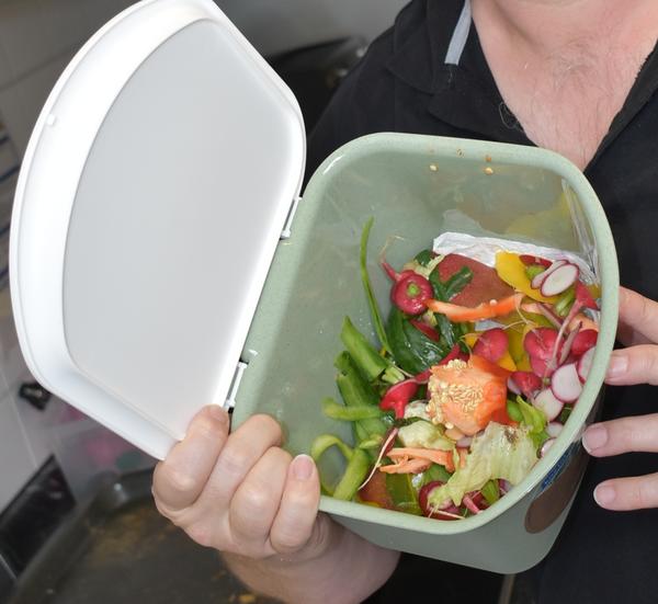 Bild vergr��ern: Eine schicke Sammelbox f�r K�chenabf�lle bietet der EWL allen B�rgerinnen und B�rgern, die sich bis 15. August f�r eine Biotonne entscheiden. Ziel ist, die Recyclingquote organischer Abf�lle in Landau zu steigern.