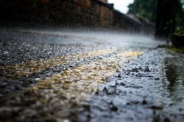 Bild vergr��ern: Regen