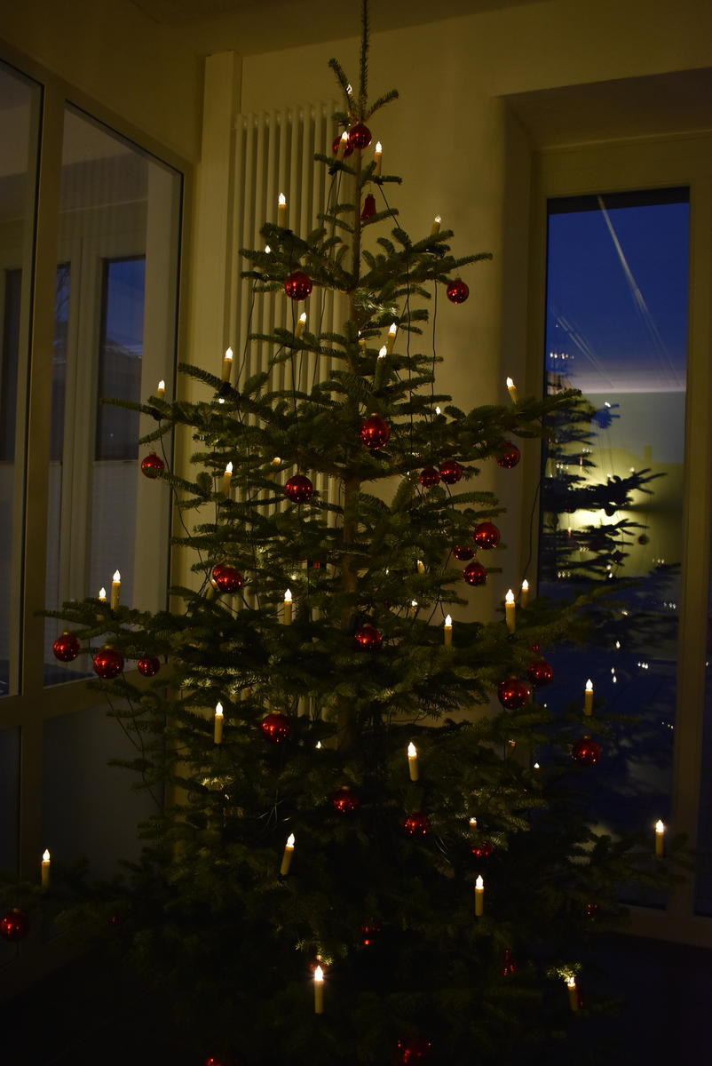 EWL Weihnachtsbaum