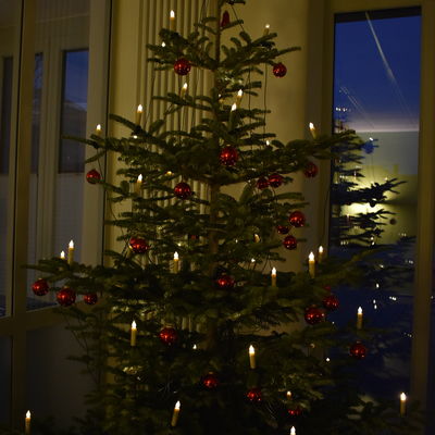 Bild vergr��ern: EWL Weihnachtsbaum