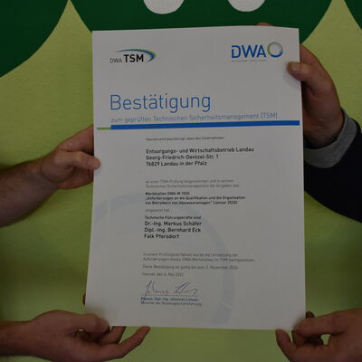 Bild vergr��ern: TSM Urkunde