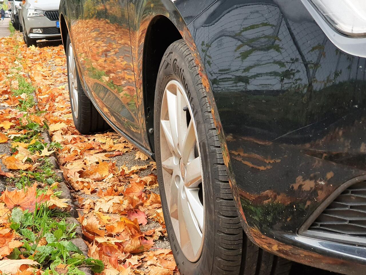 Bild vergr��ern: Erschwerte Arbeitsbedingungen: Parkende Autos behindern den effektiven Einsatz von Kehrmaschinen. Schmutz und Laub bleibt an den Stra�enr�ndern liegen. (Rechte: EWL, rechtefrei verwendbar)