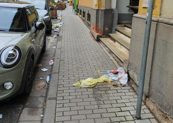 Bild vergr��ern: Verschmutzung Gelbe S�cke